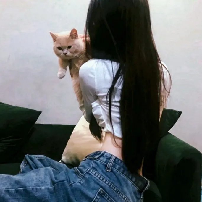 法兰克 在线观看封面