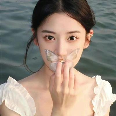 误发弹 在线观看封面
